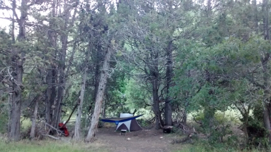 An image of a tent and hammock set up in a clearing on a trail in Bryce Canyon.